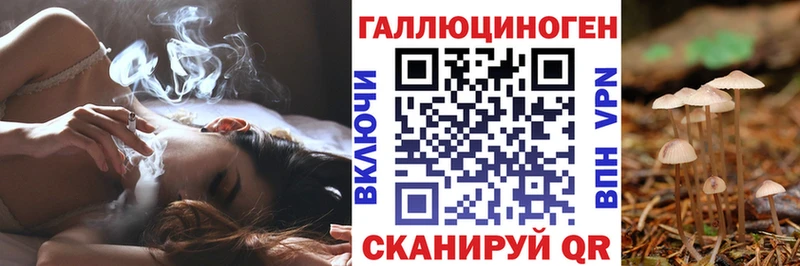 Псилоцибиновые грибы Psilocybine cubensis  Краснослободск 