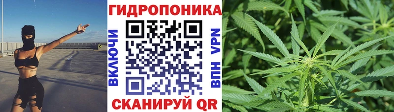 Каннабис сатива  продажа наркотиков  ОМГ ОМГ онион  Краснослободск 